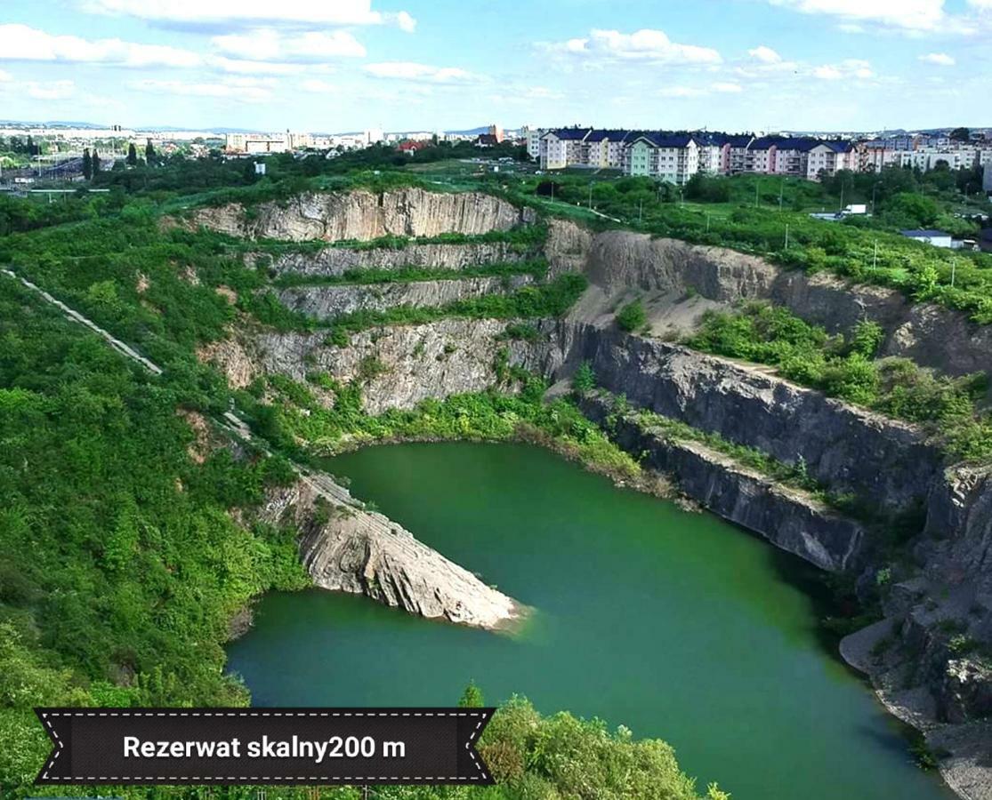 Black Rose Apartament Targi 3 Km, F-Ry Vat Kielce Exteriör bild